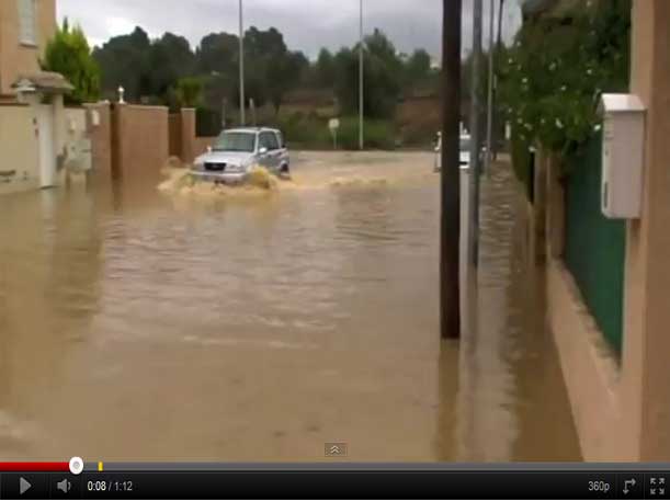Ver video